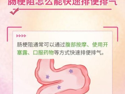 如何进行排便训练？（掌握正确的排便方法，改善肠道健康）