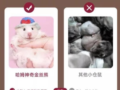 养仓鼠是否真的廉价？（探究养仓鼠的消费是否低于其他宠物）