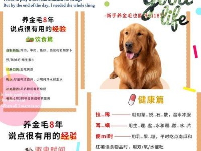 金毛犬的价格及是否昂贵？（了解金毛犬市场价格及购买成本，选择适合自己的宠物伙伴）