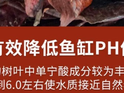 水族水质的酸碱度控制（维持理想pH值的关键措施及调节方法）