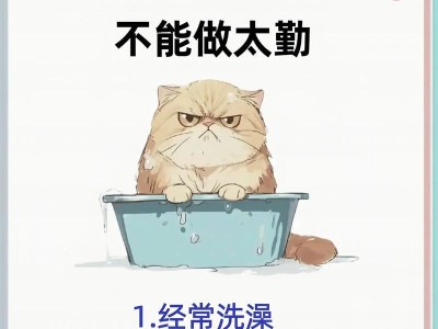 如何延长猫咪的寿命（主人做好这6点，让猫咪活得更久）