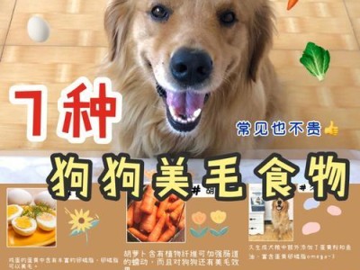 狗狗的饮食提醒（为你的爱犬提供健康饮食的指南）