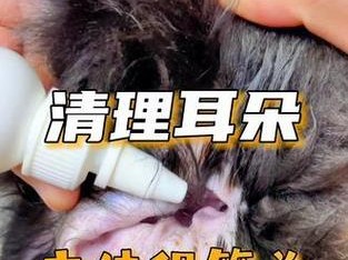 狗剪耳朵后需要多长时间才能康复？（剪耳朵对狗的健康有什么影响？）