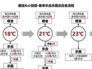 西里汉梗的饲养方法（如何养好一只西里汉梗）