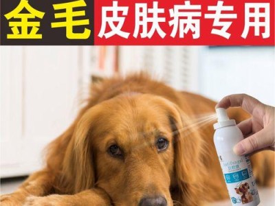 狗狗发炎应该吃什么药？（探讨适用于治疗狗狗发炎的药物及其作用）