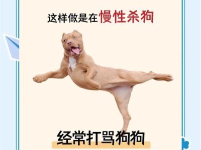 小狗的健康成长之路（营养均衡的饮食是关键）