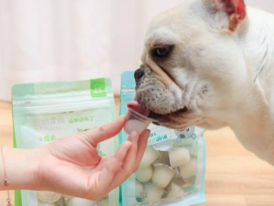 博美犬的最佳零食选择（满足营养与口感的健康美味）