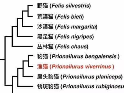 新英格兰棉尾兔的饲养方法（了解这些饲养技巧，让你的兔子更健康快乐）