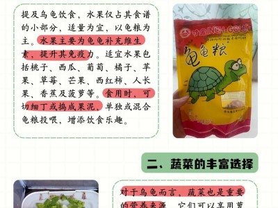 小鸟龟的饮食偏好与喜好食物（揭秘小鸟龟最爱吃的食物及饮食习惯）