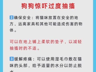 小猫为什么会抽搐？（探究小猫抽搐的原因及应对方法）