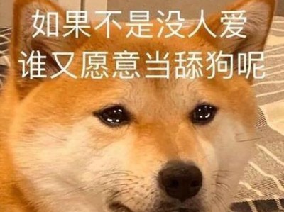 泰迪舔嘴巴的意义及其背后的含义解析（从爱的表达到社交行为，一只泰迪舔嘴巴的举动如何传递信息）