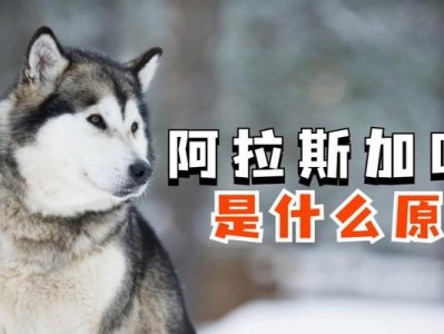 狗狗为什么会去吃草？（探究狗狗食草行为的原因与影响）