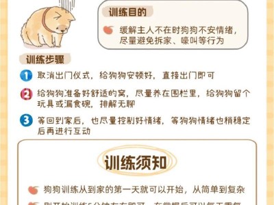 从何时开始训练幼犬？（养成良好习惯的关键时期）