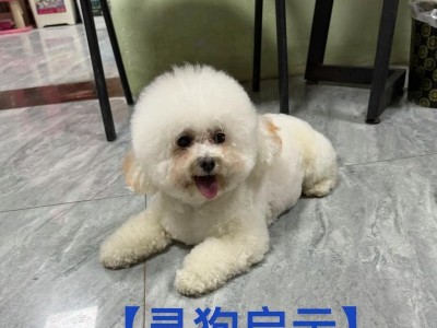 比熊犬的标准体重及偏重与偏瘦问题（了解比熊犬的标准体重，关注狗狗的健康生活）