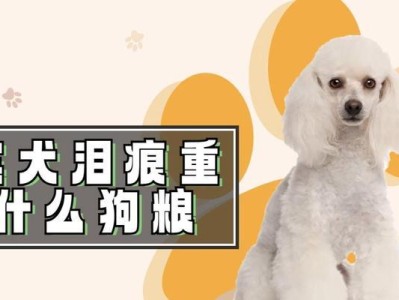 养贵宾犬的禁食之道（了解贵宾犬的饮食禁忌，守护它们的健康）