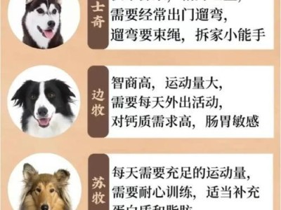 世界上常见的狗的品种及特点（了解不同狗种的特征和饲养要点，选择适合自己的宠物伙伴）