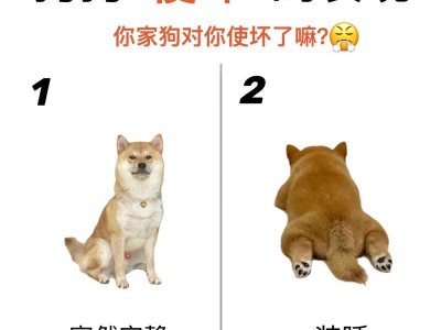 狗之间的友谊（探索狗与同类之间的深厚情谊）