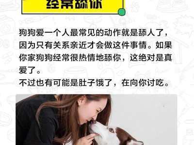 为什么狗狗喜欢舔你？（揭秘狗狗舔人的七个原因）