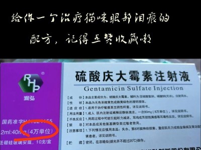 小猫眼药的选择与使用（关注小猫眼部健康，选择合适眼药）