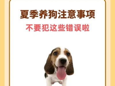 养狗须知，让你成为贴心的宠物主人（了解养狗的注意事项，给爱犬提供最好的生活环境）