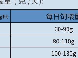 英牛犬一周岁的饮食指南（了解英牛犬饮食需求，打造健康成长之路）