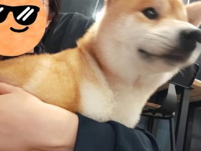 如何有效阻止严狗扑人攻击（科学方法助你应对严狗扑咬危险）