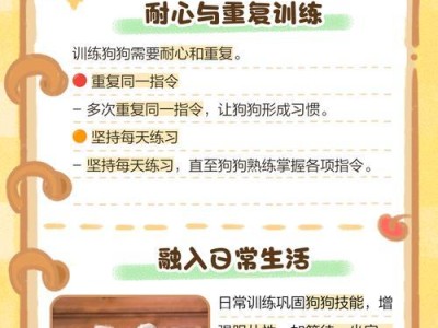 狗狗训练小技巧（让你的宠物成为听话的乖乖狗）