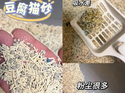 猫咪不埋屎的原因及解决方法（探寻猫咪不埋屎的背后原因，帮助解决这个问题）