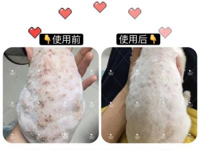 猫长癣该用什么药物进行治疗？（详解猫长癣的治疗药物及注意事项）