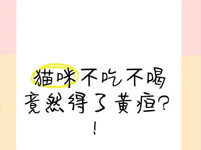 猫黄疸的原因及预防方法（探究猫儿黄疸产生的因素以及如何防止）