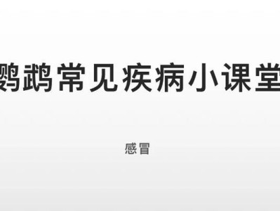 灰鹦鹉感冒的治疗方法（探究灰鹦鹉感冒药物治疗的有效性与安全性）