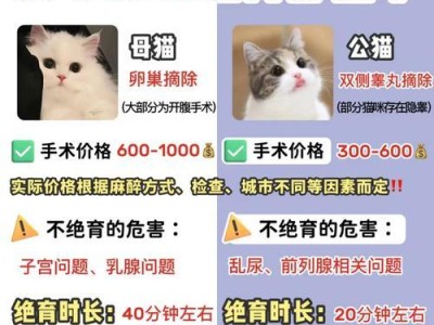 猫咪麻药的康复时间及关键因素（了解康复时间对猫咪健康很重要）