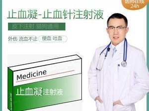 狗狗腿伤口消毒，你需要了解的药物知识（选择合适的药物，为你的狗狗提供最佳的伤口消毒护理）