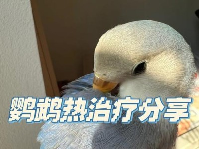 鸟类粪便感染的治疗方法研究（探索治疗鸟类粪便感染的有效手段）