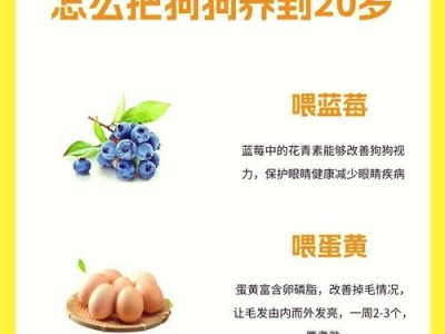 拉布拉多犬的钙片摄入时间究竟多久合适？（拉布拉多犬钙片摄入的最佳时机和剂量）