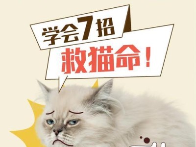 小猫肠胃调理指南（有效的饮食管理方法，让小猫健康成长）