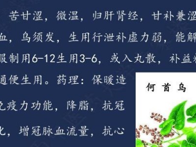 狗狗慢咳的药物治疗指南（了解狗狗慢咳的原因和选择适合的药物治疗方案）