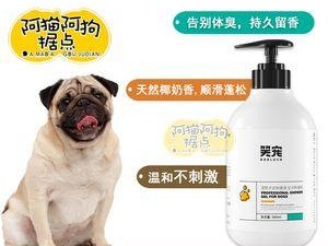 探秘以巴哥犬的专属用品（为你的巴哥犬提供舒适和安全的生活）