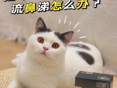 猫咪鼻涕带血的原因及治疗方法（宠物猫咪鼻涕异常症状分析，如何帮助它恢复健康？）