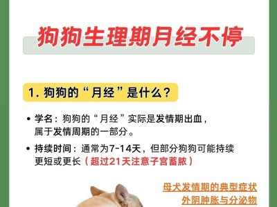 照顾狗狗月经的合理方法（关心母狗月经期，让狗狗更舒适）