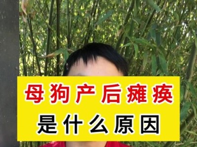 探索狗狗瘫痪的原因与治疗方法（深入了解狗狗瘫痪的多种原因及有效的治疗措施）