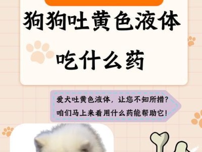 小狗呕吐的原因及处理方法（了解小狗呕吐的常见原因，学会正确处理问题）