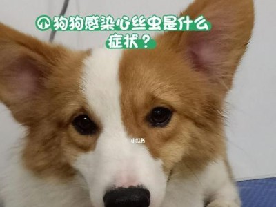 狗狗嗓子发炎的症状及预防方法（呼噜声、咳嗽和声音沙哑——狗狗嗓子发炎的常见表现）