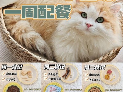 猫咪的正确喂养频率（养猫要合理安排进食次数，关键是均衡与规律）