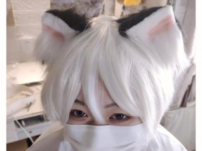 如何有效去除猫咪白毛发黄问题（猫咪白毛发黄原因及解决方案）