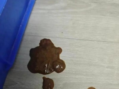 干呕频发的比熊该如何应对？（以2个月为周期，如何缓解比熊的干呕问题）