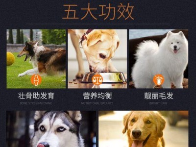 金毛成年犬的合理饮食量（金毛成年犬每天所需狗粮量的确定与注意事项）