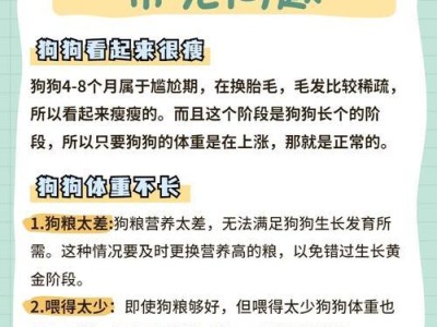 边牧驱虫后为何还是瘦？（狗瘦的原因分析及解决方法）