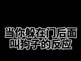 阿拉斯加和哈士奇（探究阿拉斯加和哈士奇的智商和表现特点，解析其差异及原因）