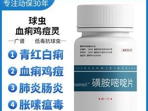 狗慢性脑炎的药物治疗（药物疗法对狗慢性脑炎的有效性及使用注意事项）